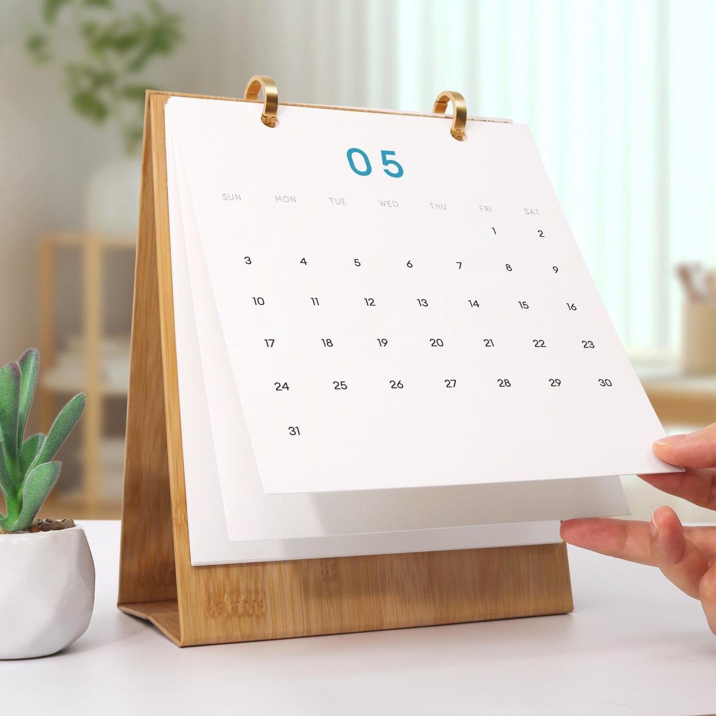 2026 Paint by Numbers desk Calendar | World trip Edition