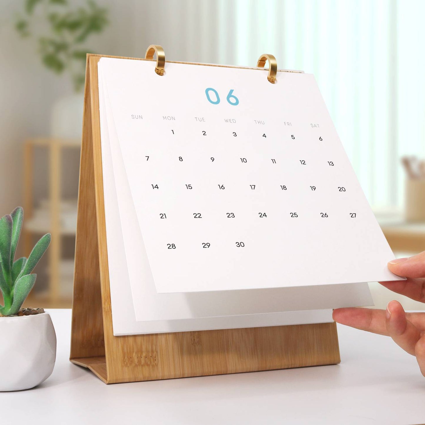 2026 Paint by Numbers desk Calendar | Cocktail Edition