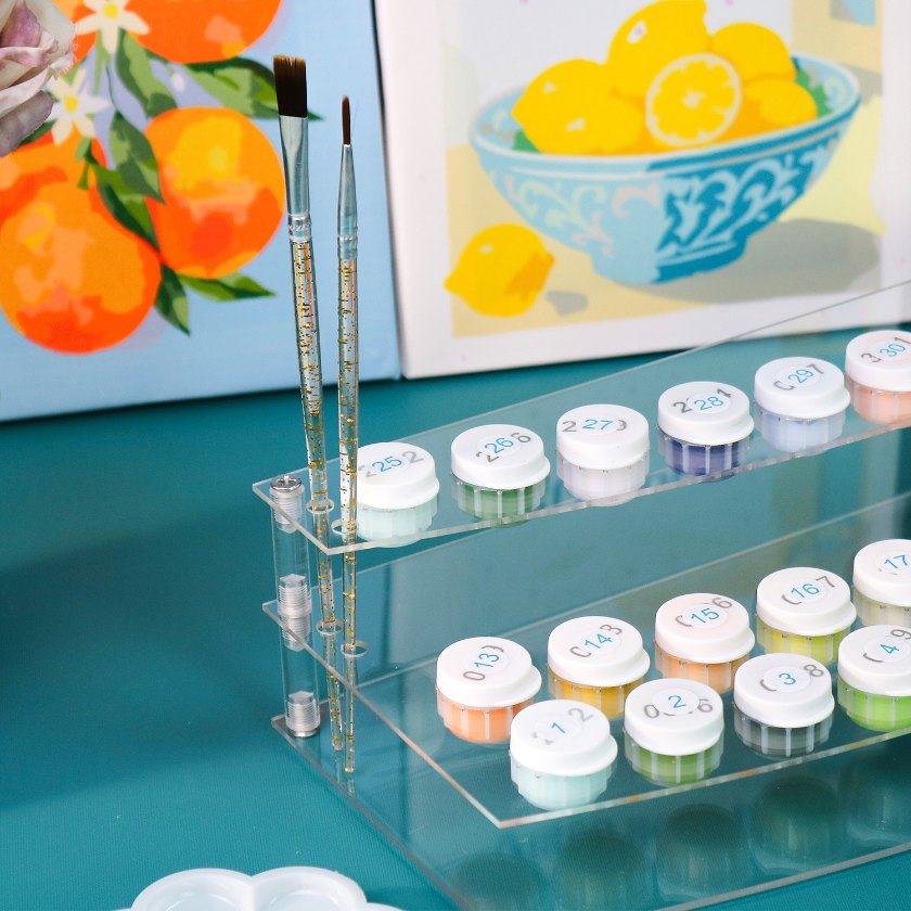 Paint & Brush Holder for Paint by Numbers