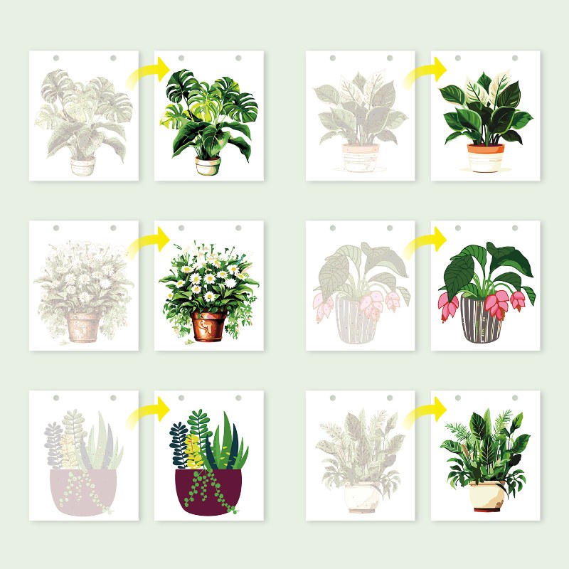 2026 Paint by Numbers desk Calendar | Plants Edition