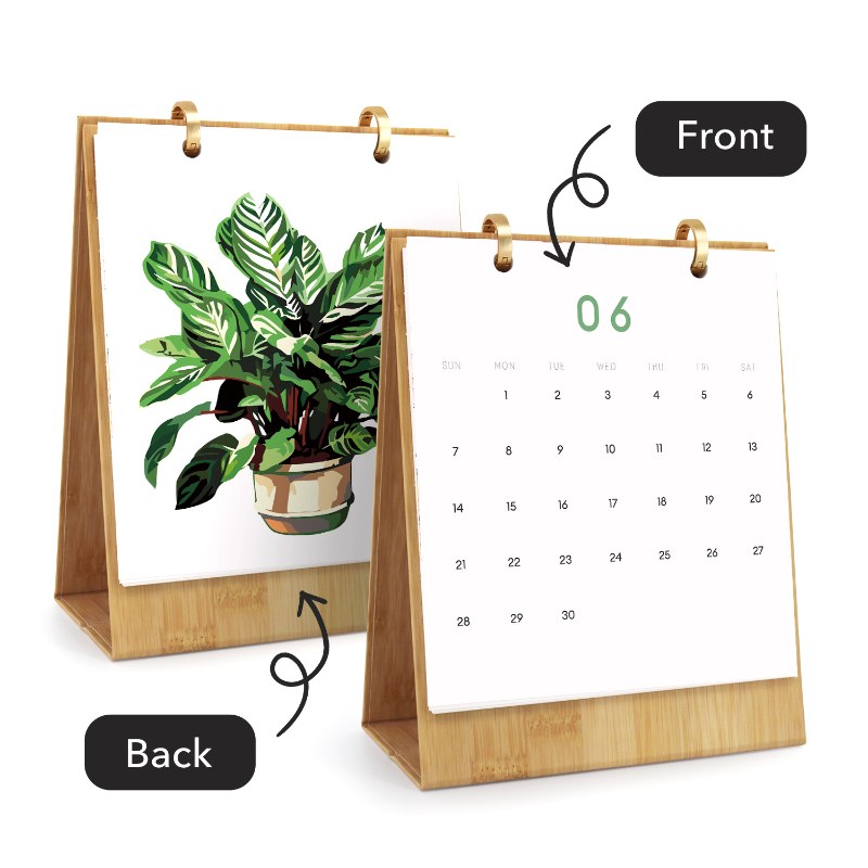 2026 Paint by Numbers desk Calendar | Plants Edition