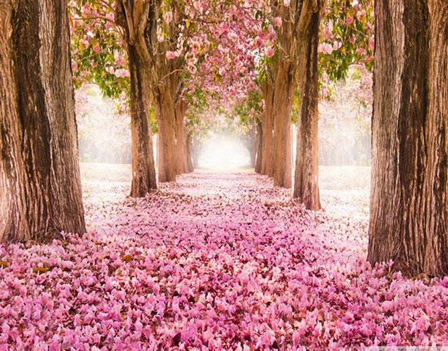 Scenic and Serene Landscape with Pink Trees - Paint by Numbers