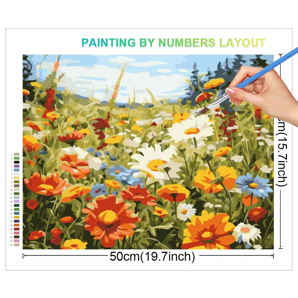 Daisy Flower Field Landscape - Paint by Numbers