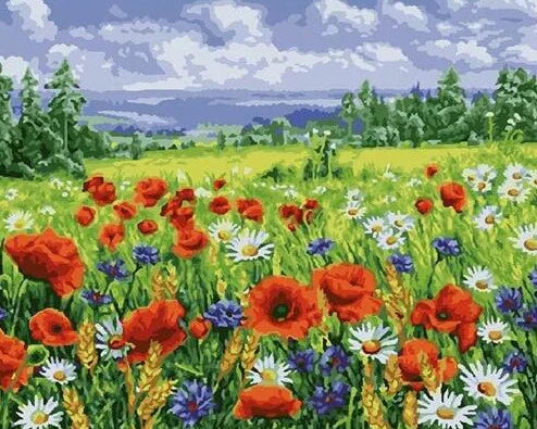 Daisy Flower Field Landscape - Paint by Numbers