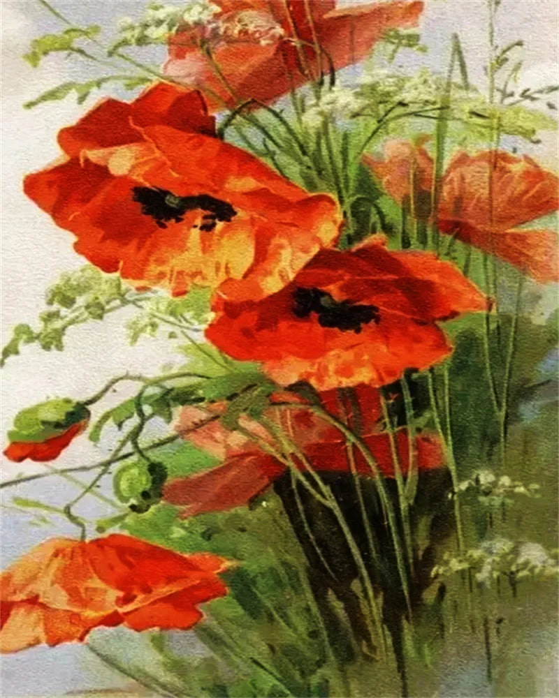 Poppy Flower Wall Art - Oil Painting by Numbers
