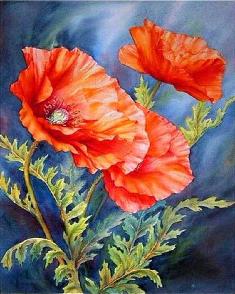 Poppy Flower Wall Art - Oil Painting by Numbers