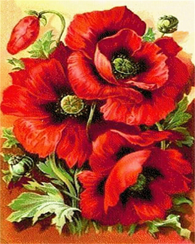 Poppy Flower Wall Art - Oil Painting by Numbers
