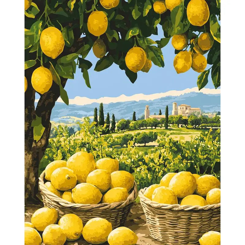 Flowers, Lemons & Landscape – DIY Framed Paint by Numbers Kit (Customizable by Paint)