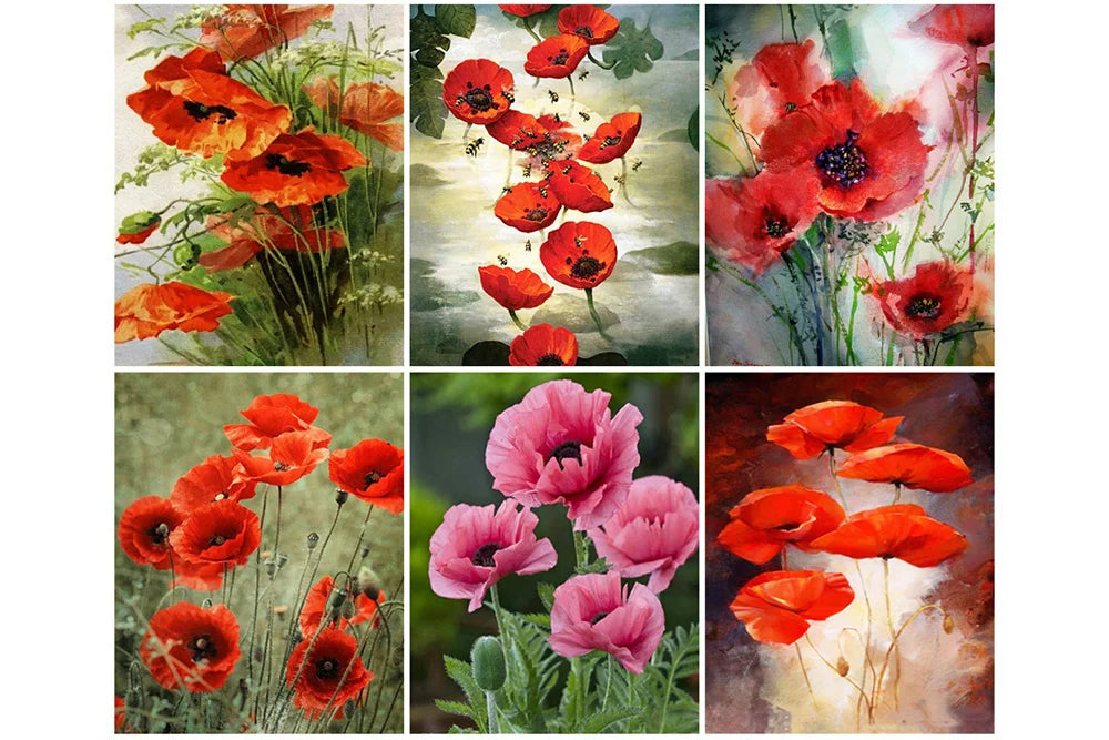 Poppy Flower Wall Art - Oil Painting by Numbers