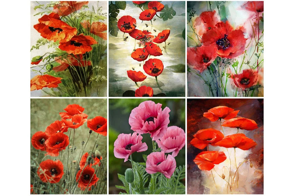Poppy Flower Wall Art - Oil Painting by Numbers