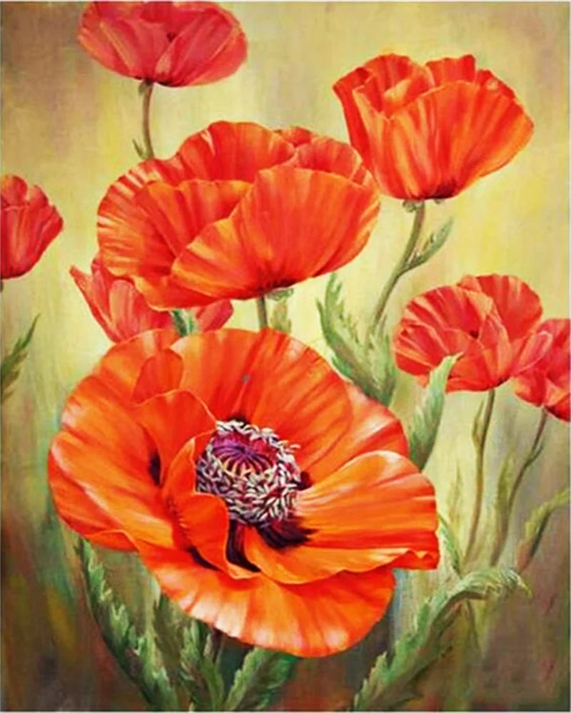 Poppy Flower Wall Art - Oil Painting by Numbers