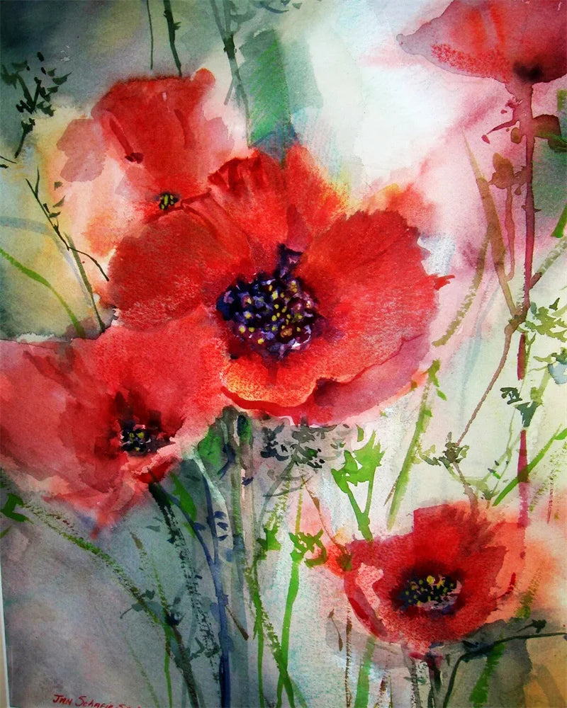 Poppy Flower Wall Art - Oil Painting by Numbers
