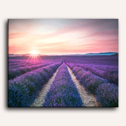 Lavender Flower Field | Paint by Numbers