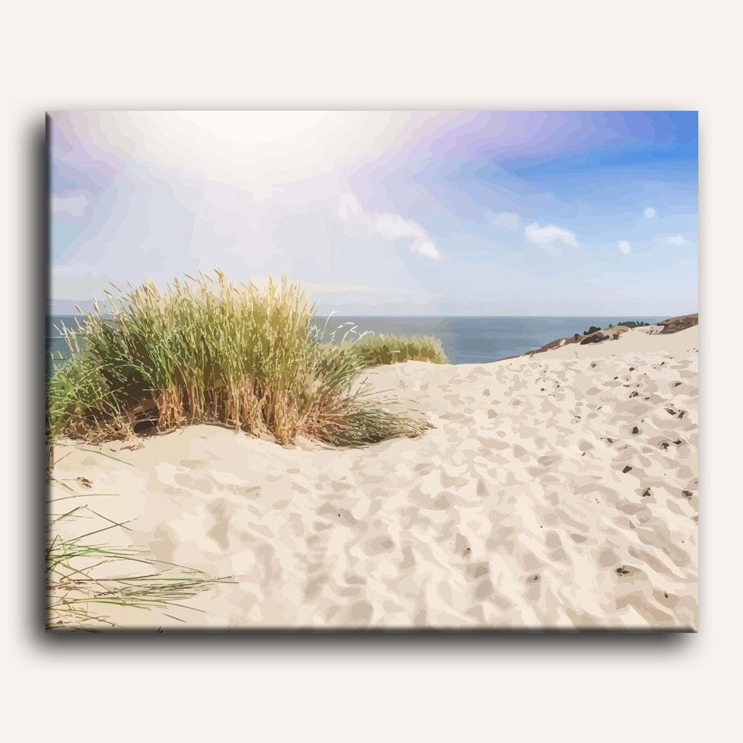 Dunes on the Sandy Beach of the Baltic Sea | Paint by Numbers