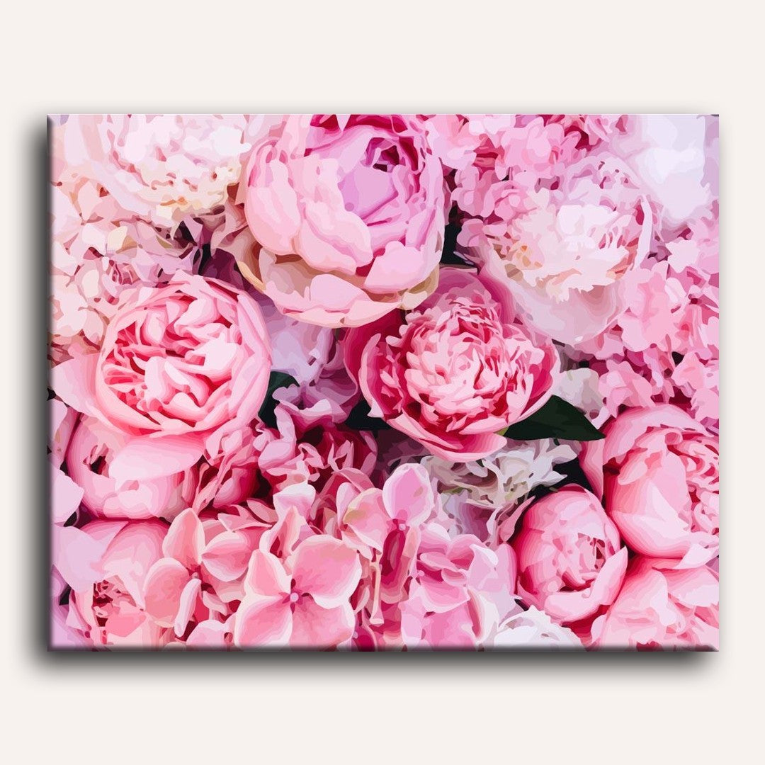 Pink Peonies Background | Paint by Numbers