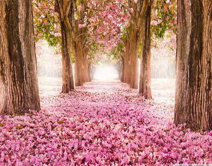 Scenic and Serene Landscape with Pink Trees - Paint by Numbers