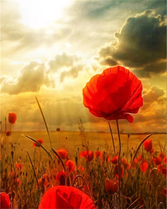 Poppy Flower Wall Art - Oil Painting by Numbers