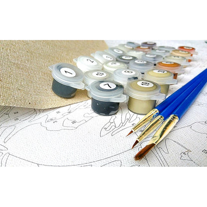 Pink Scenery Landscape Paint-by-Numbers Kit